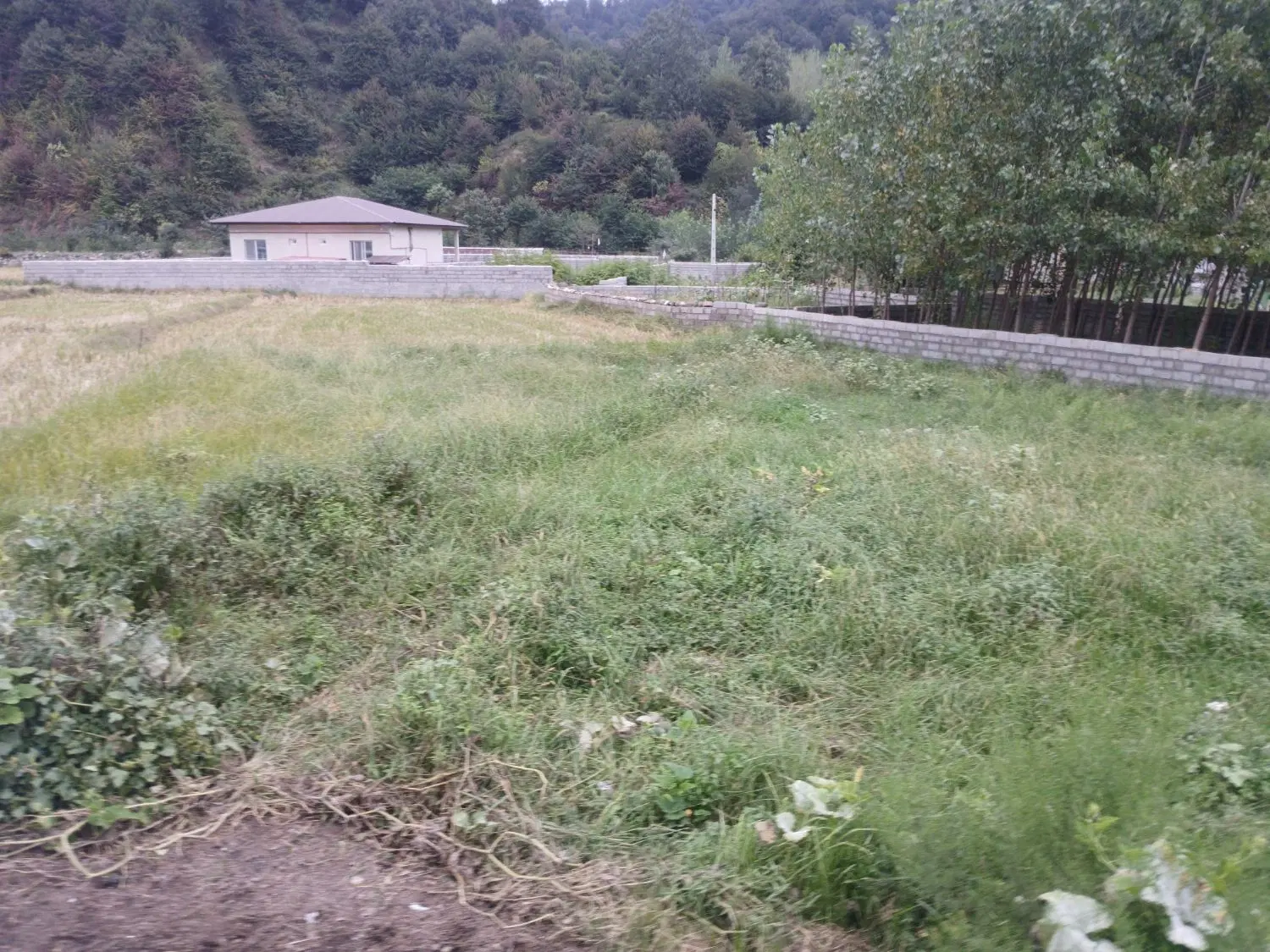 تصویر املاک 122173