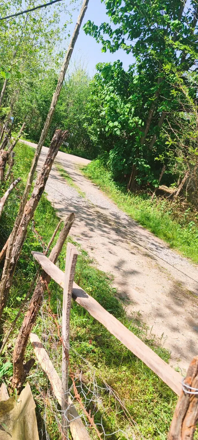 تصویر املاک 104319
