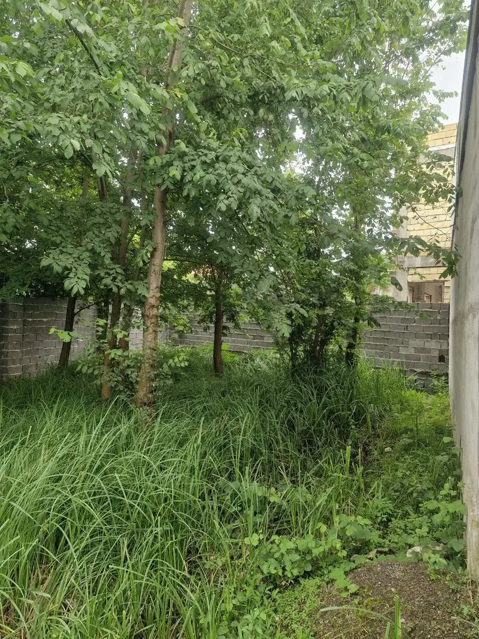 تصویر املاک 8706