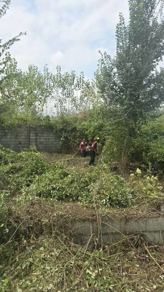 تصویر املاک 135357