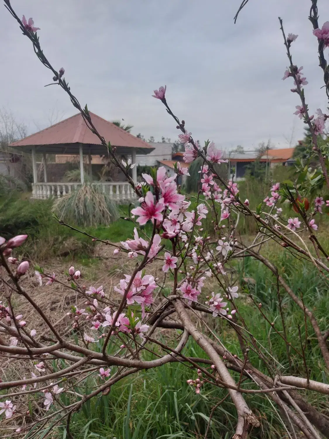 تصویر املاک 55809