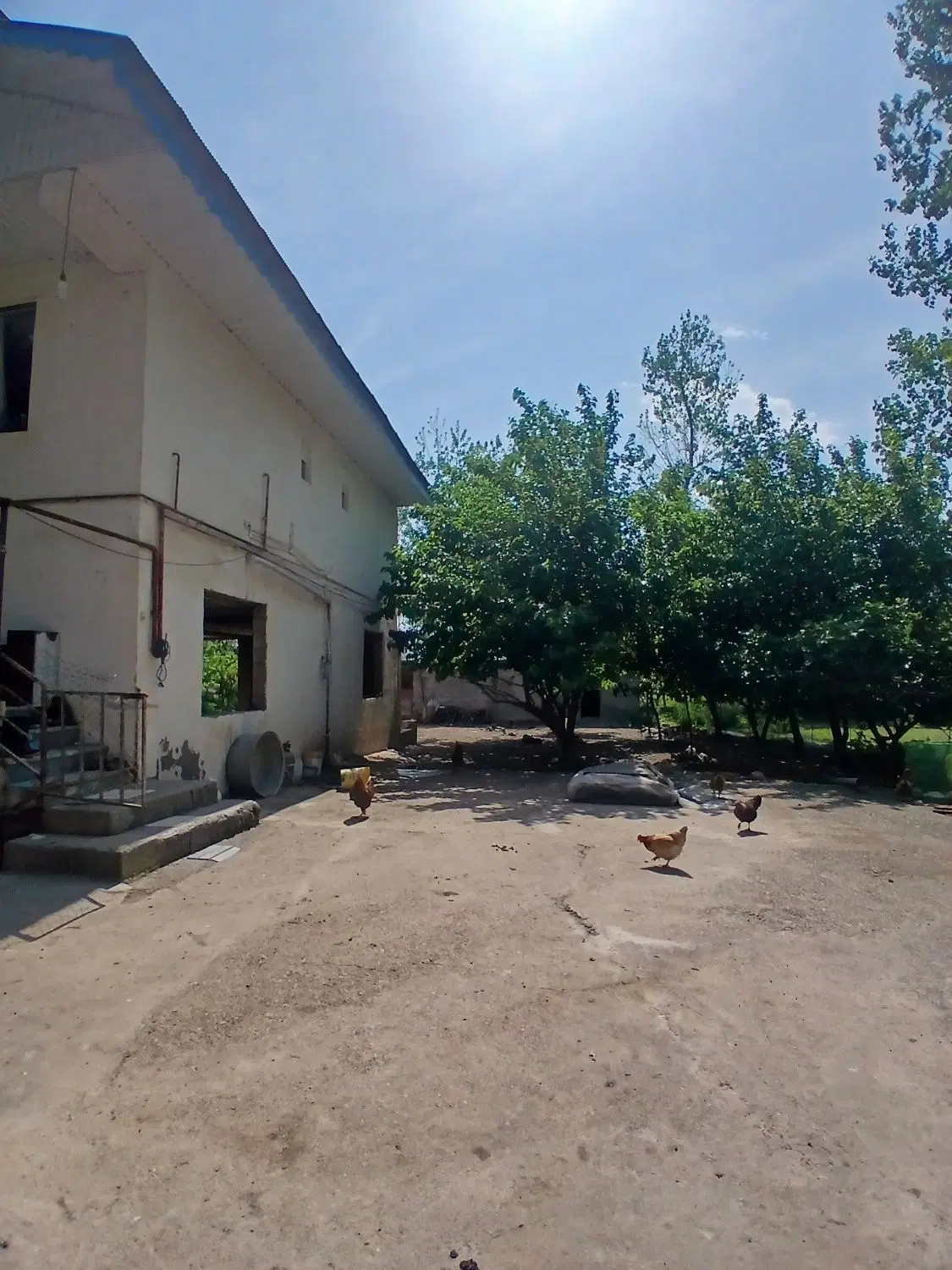تصویر املاک 131469