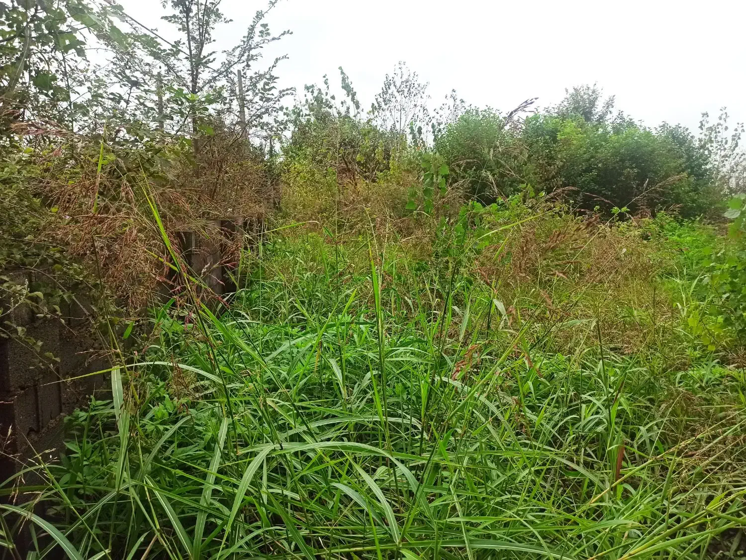 تصویر املاک 5568