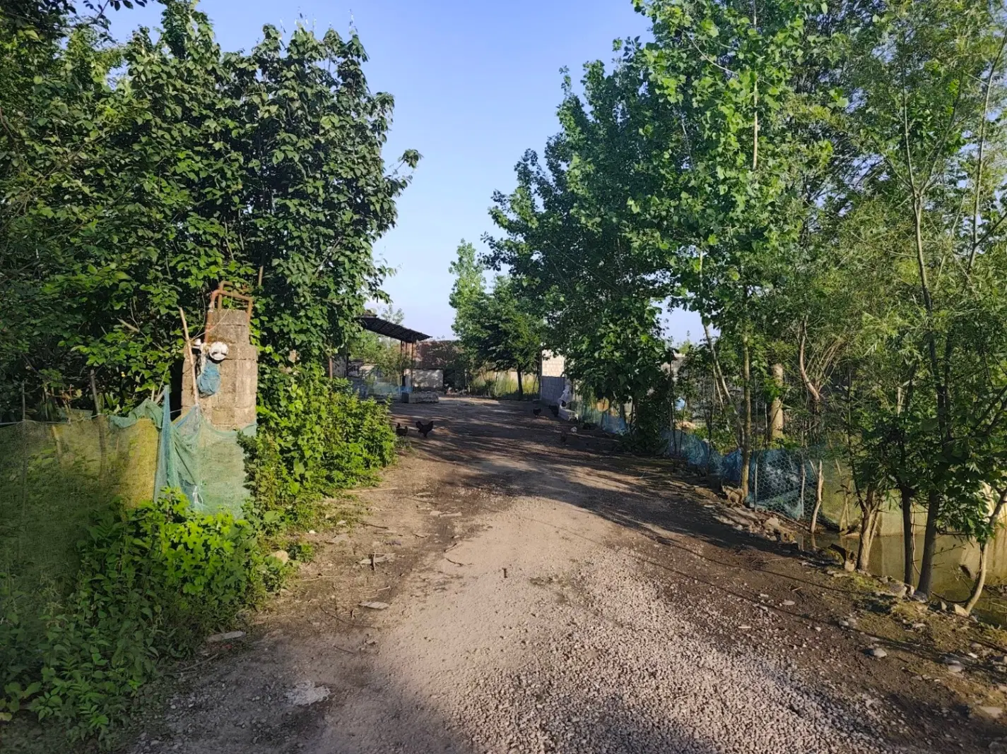 تصویر املاک 99798