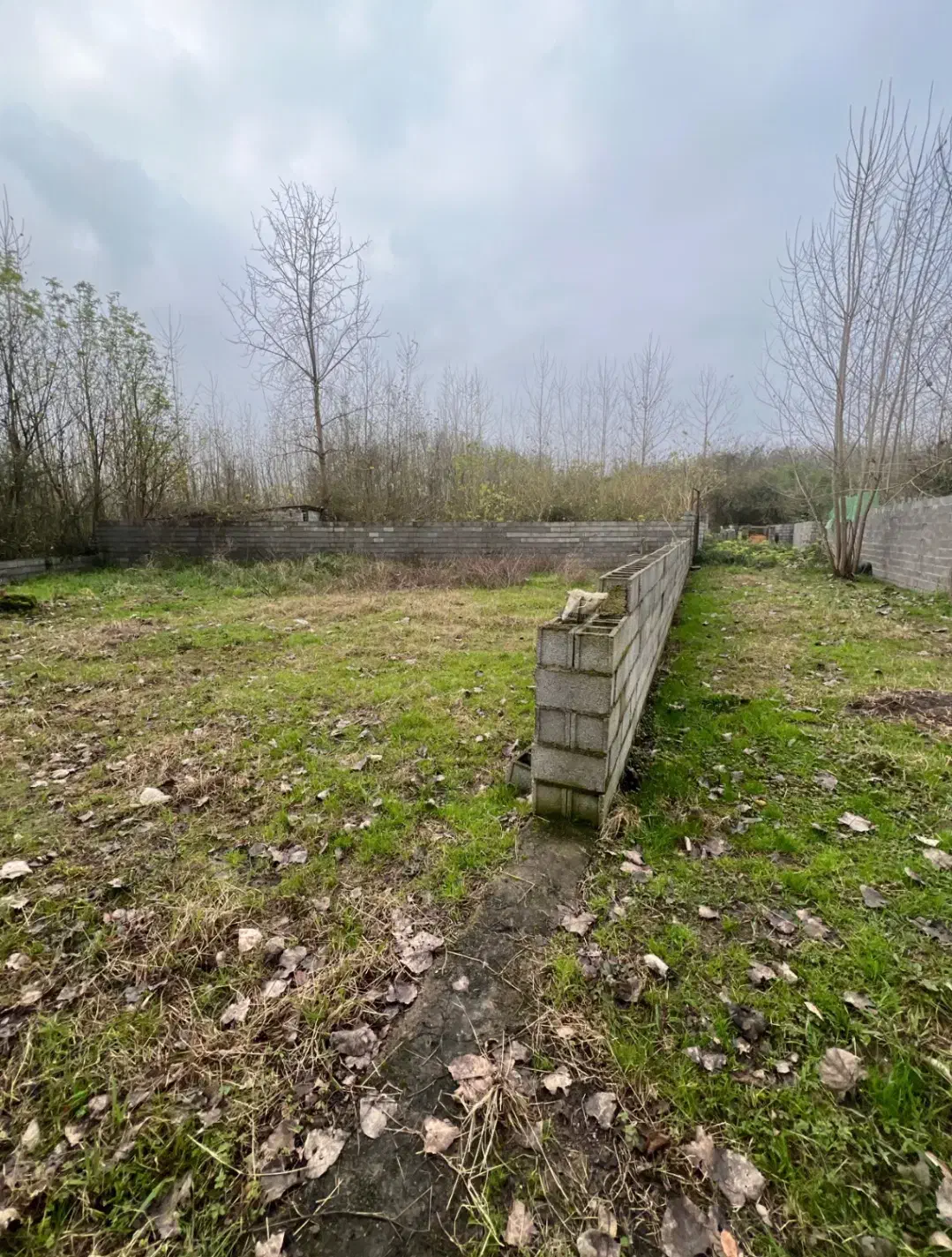 تصویر املاک 36176