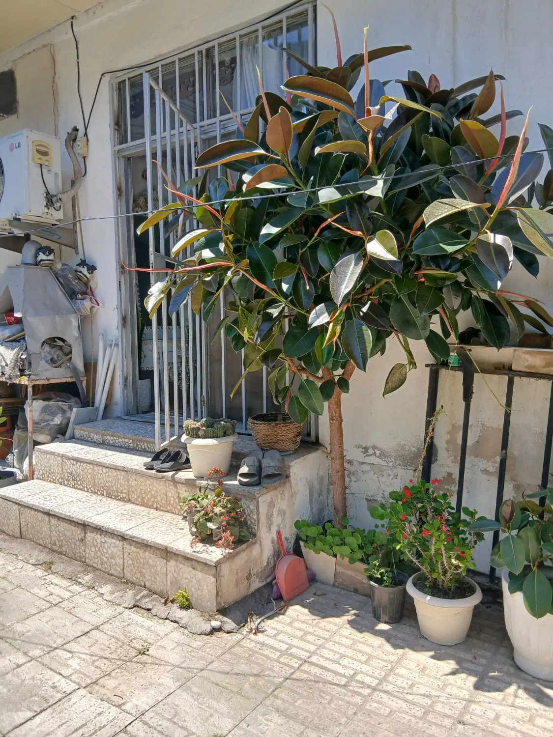 تصویر املاک 83436