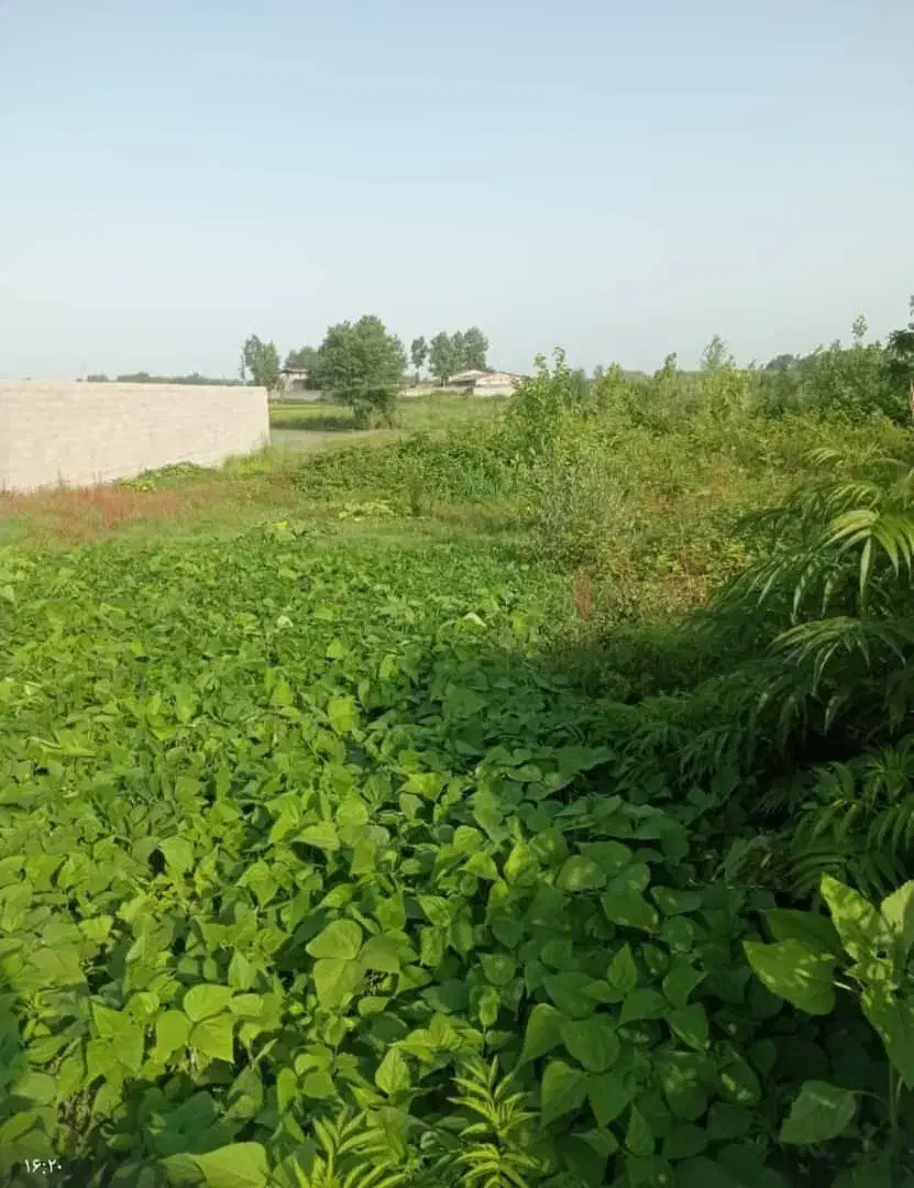 تصویر املاک 35178