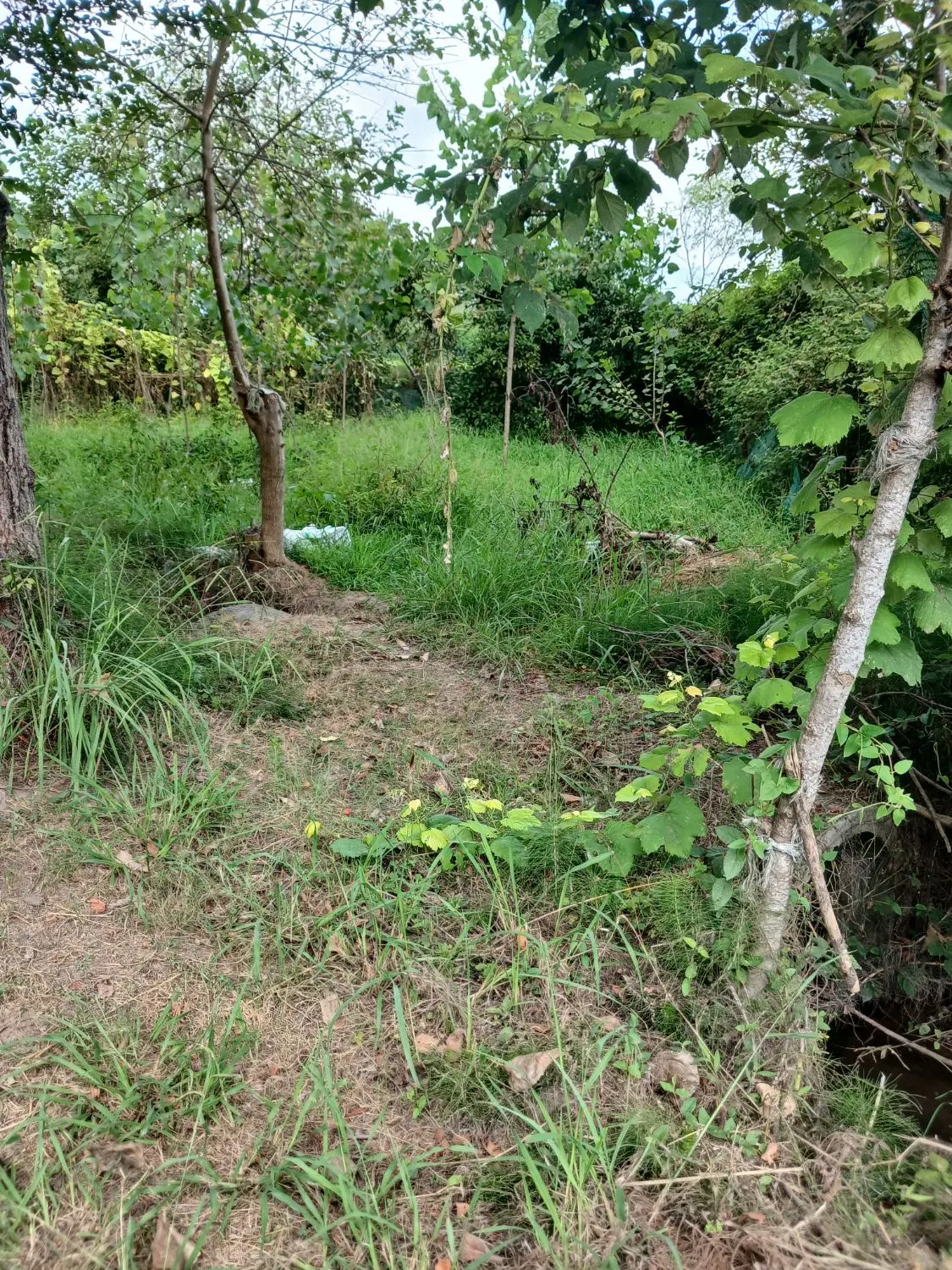 تصویر املاک 121487