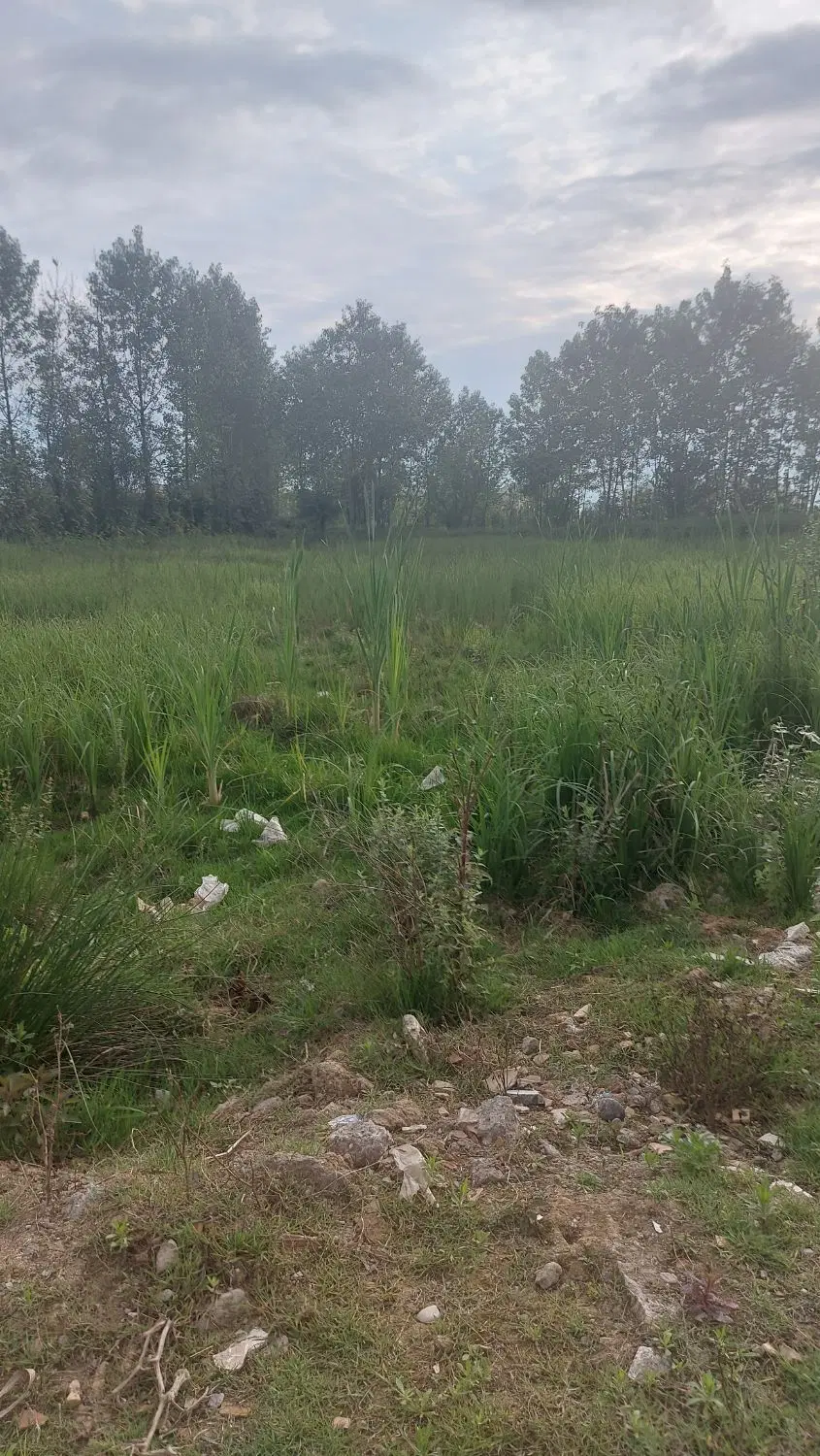 تصویر املاک 58966