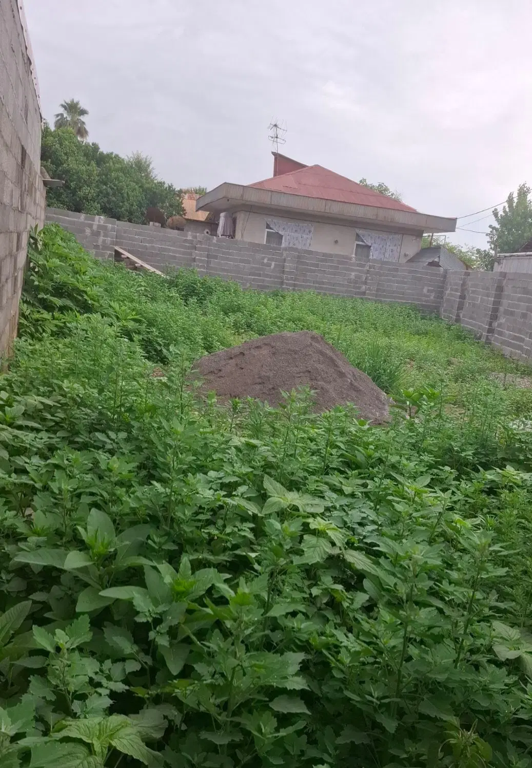 تصویر املاک 132747
