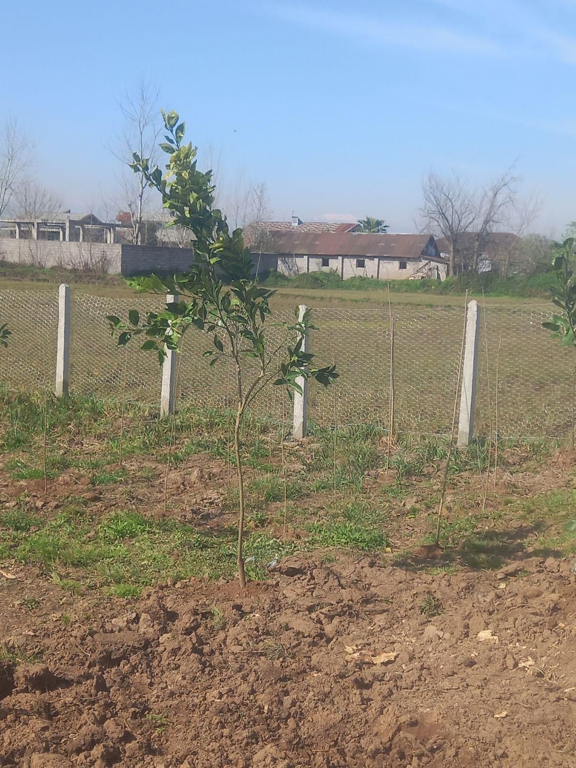 تصویر املاک 22652