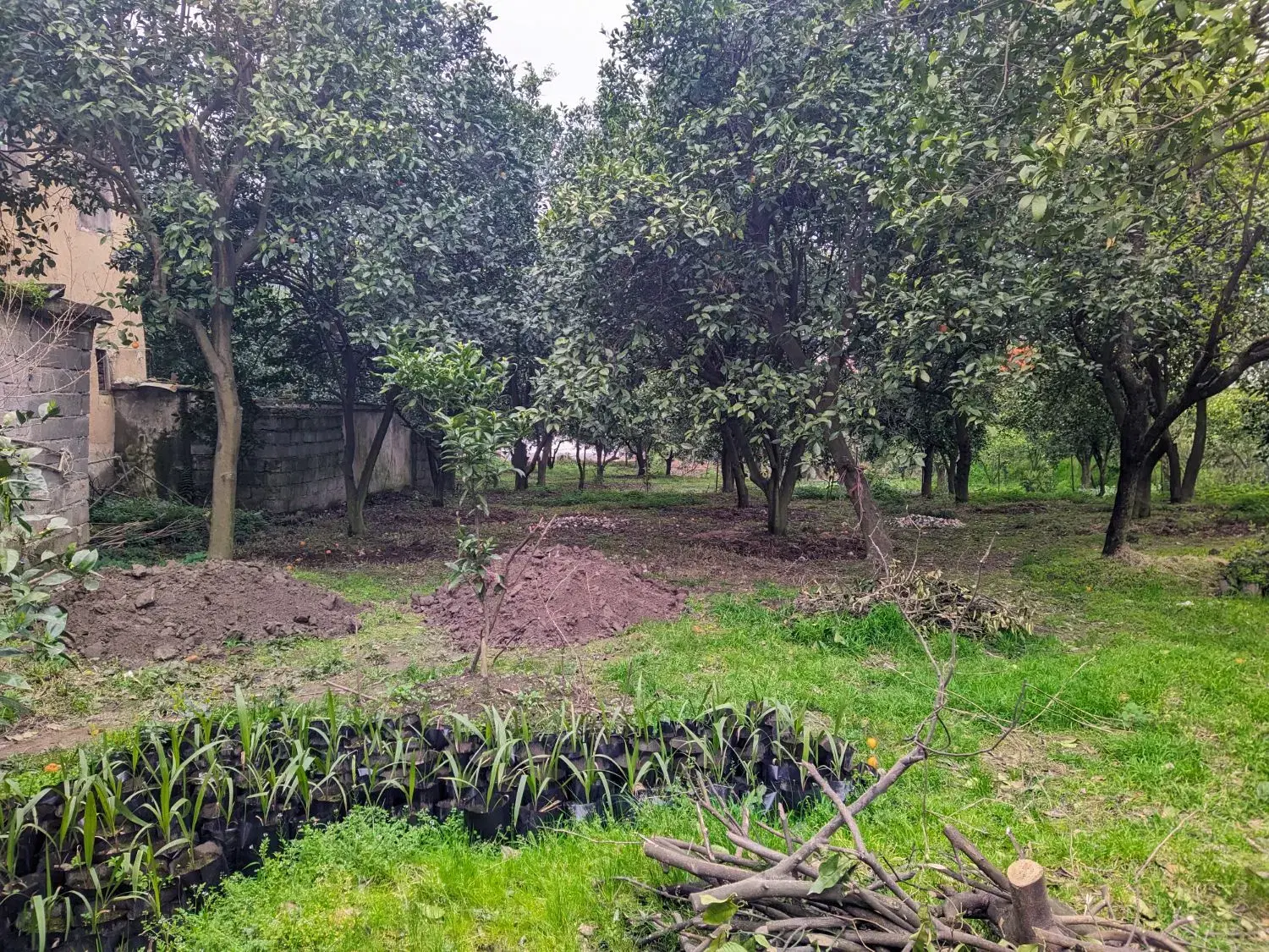 تصویر املاک 44442