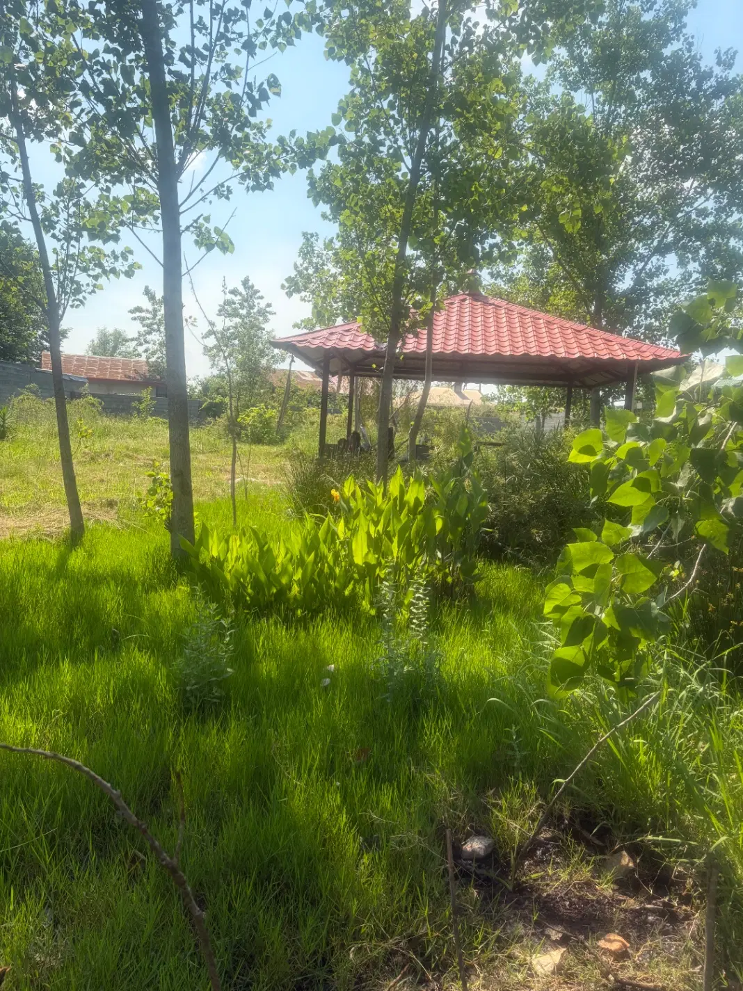 تصویر املاک 84710
