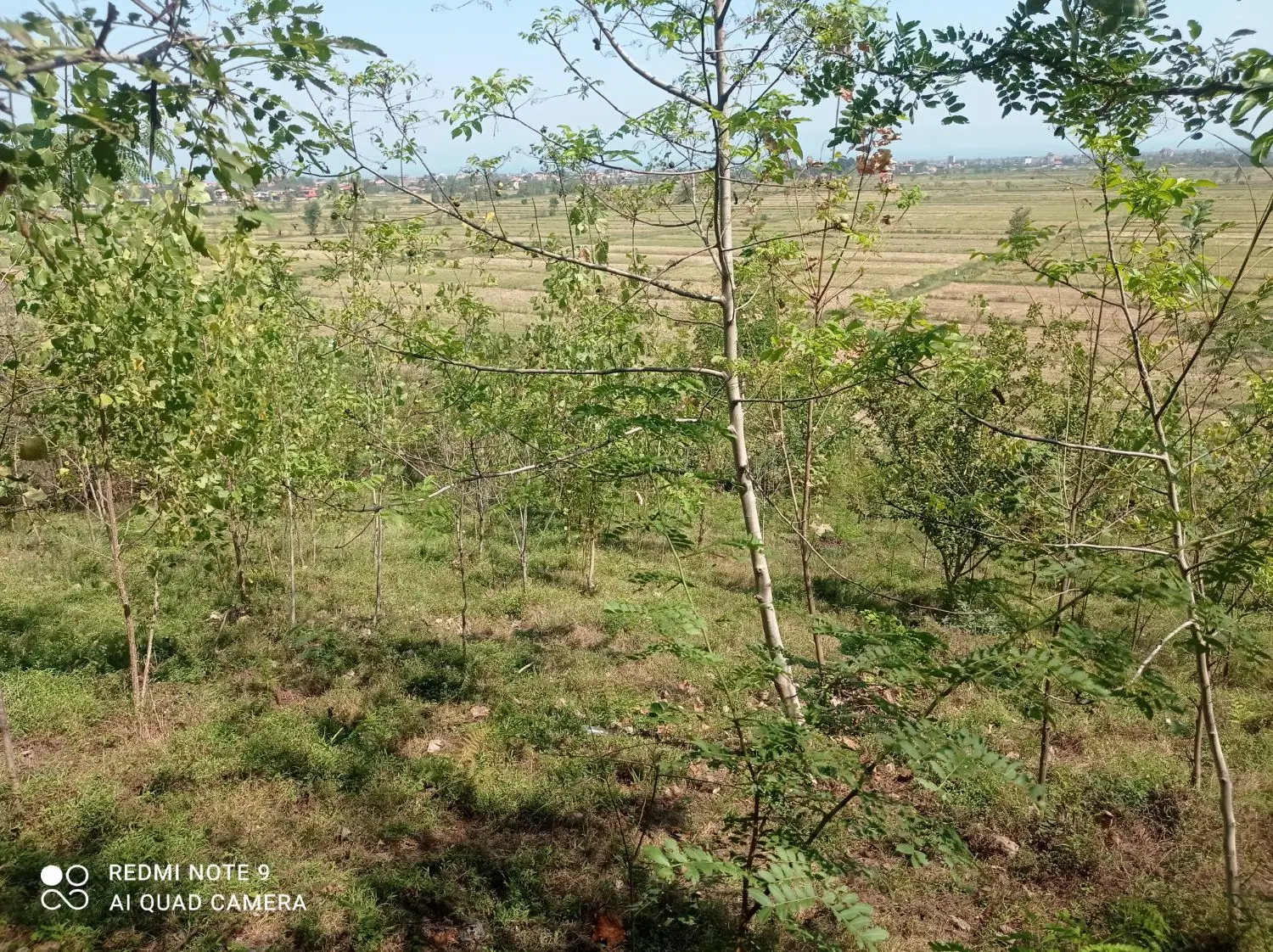 تصویر املاک 125517
