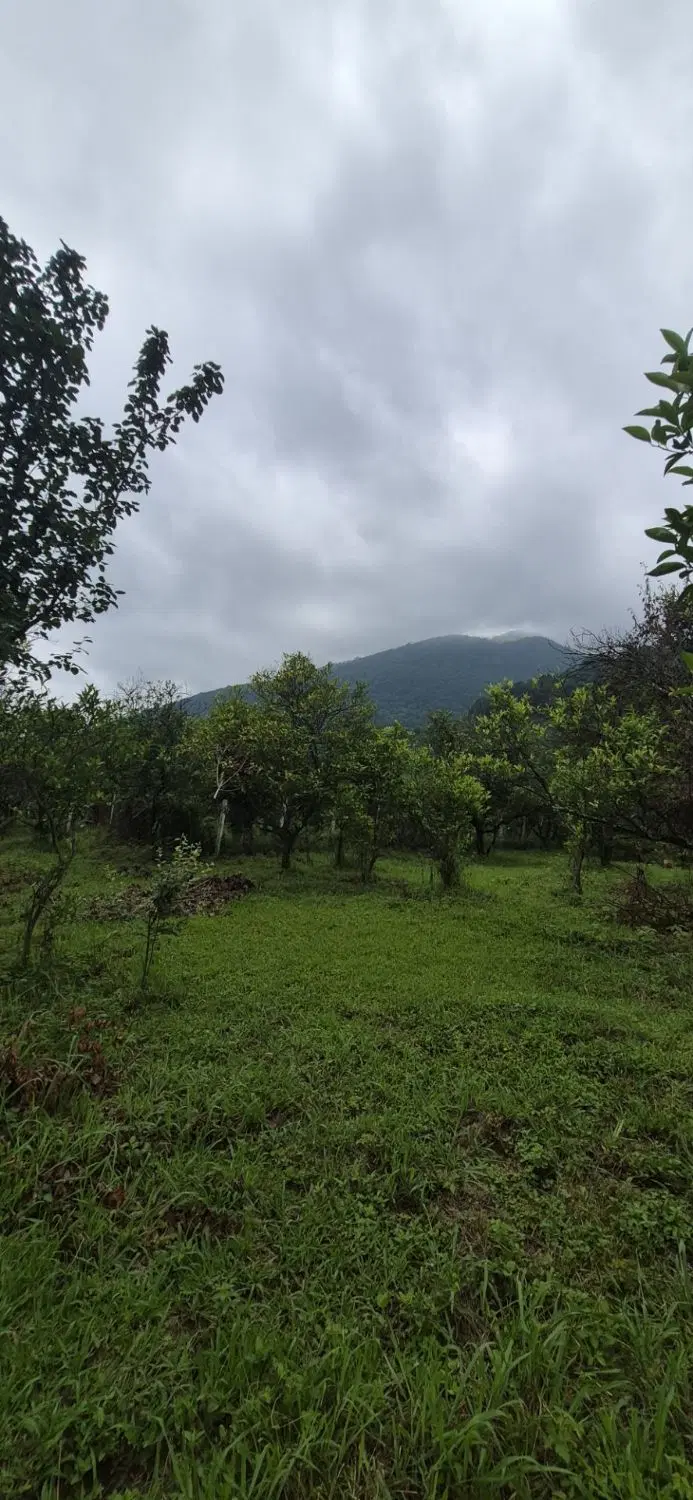 تصویر املاک 139431