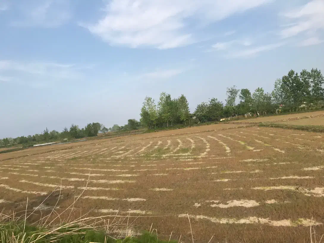 تصویر املاک 7814