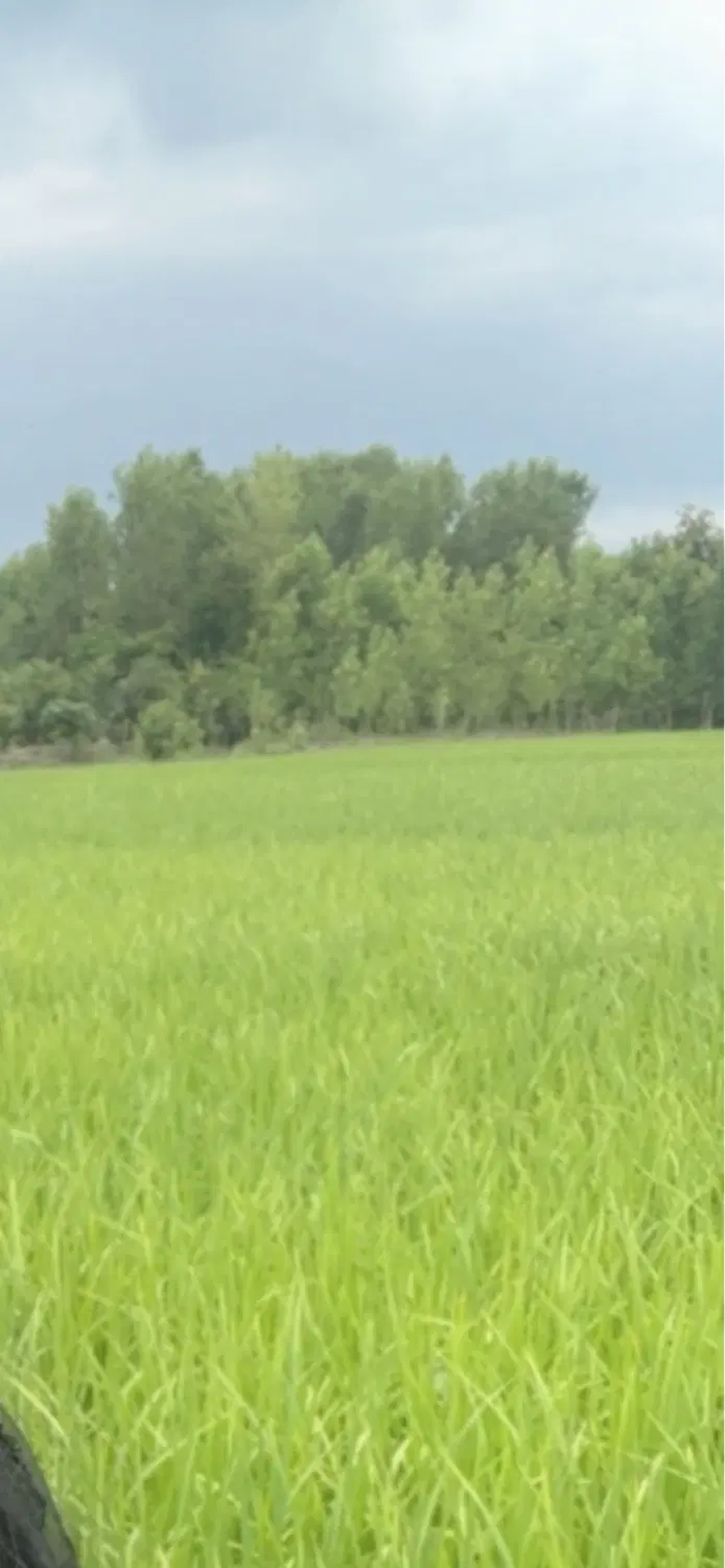 تصویر املاک 72474