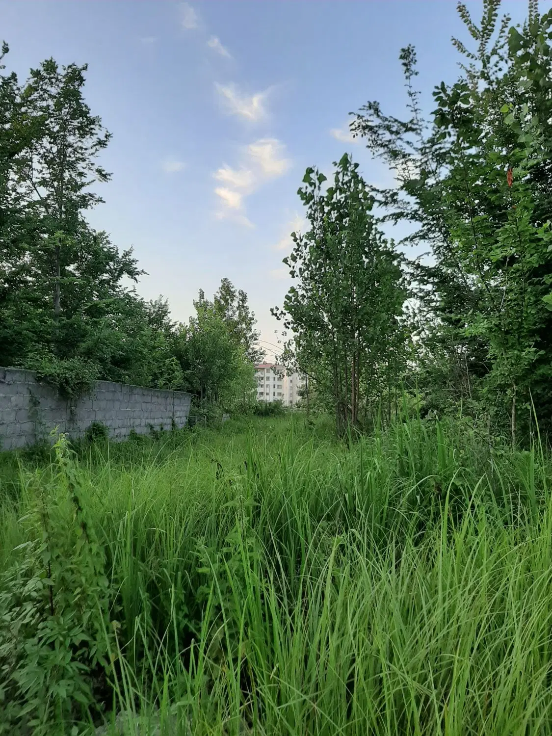 تصویر املاک 116819