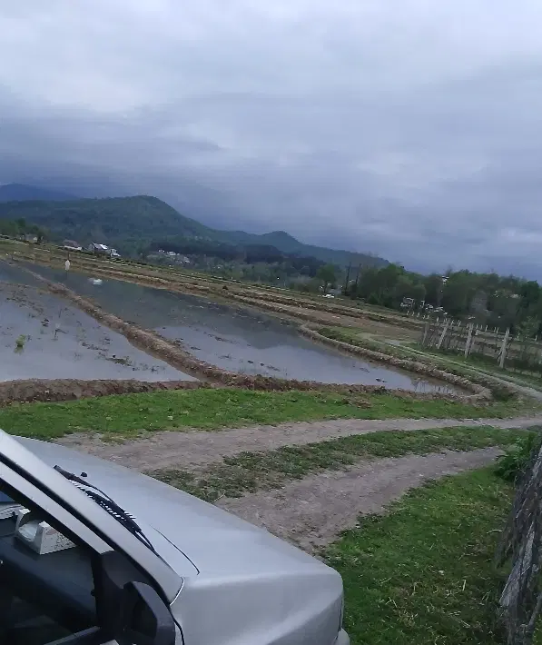تصویر املاک 98336