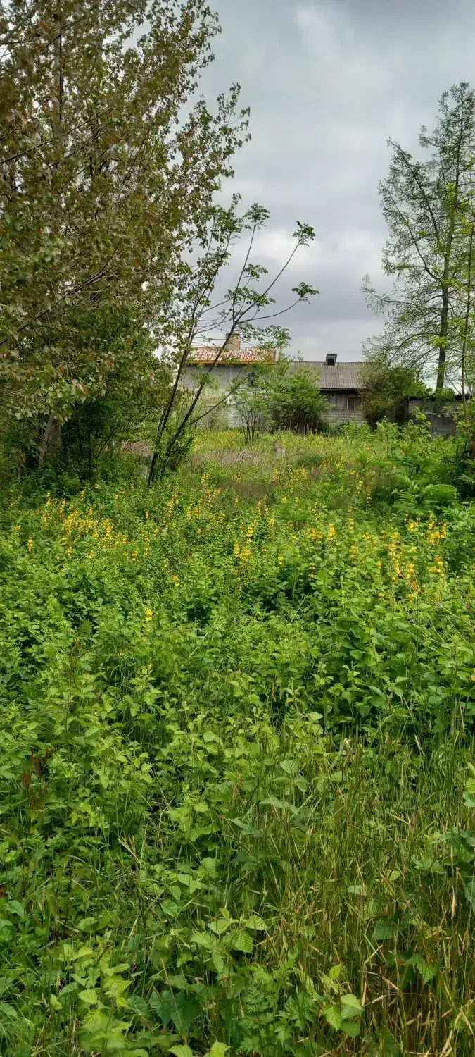تصویر املاک 39127