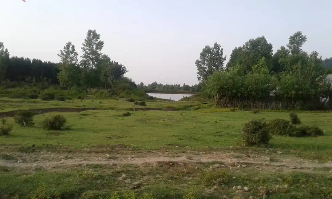 تصویر املاک 36529