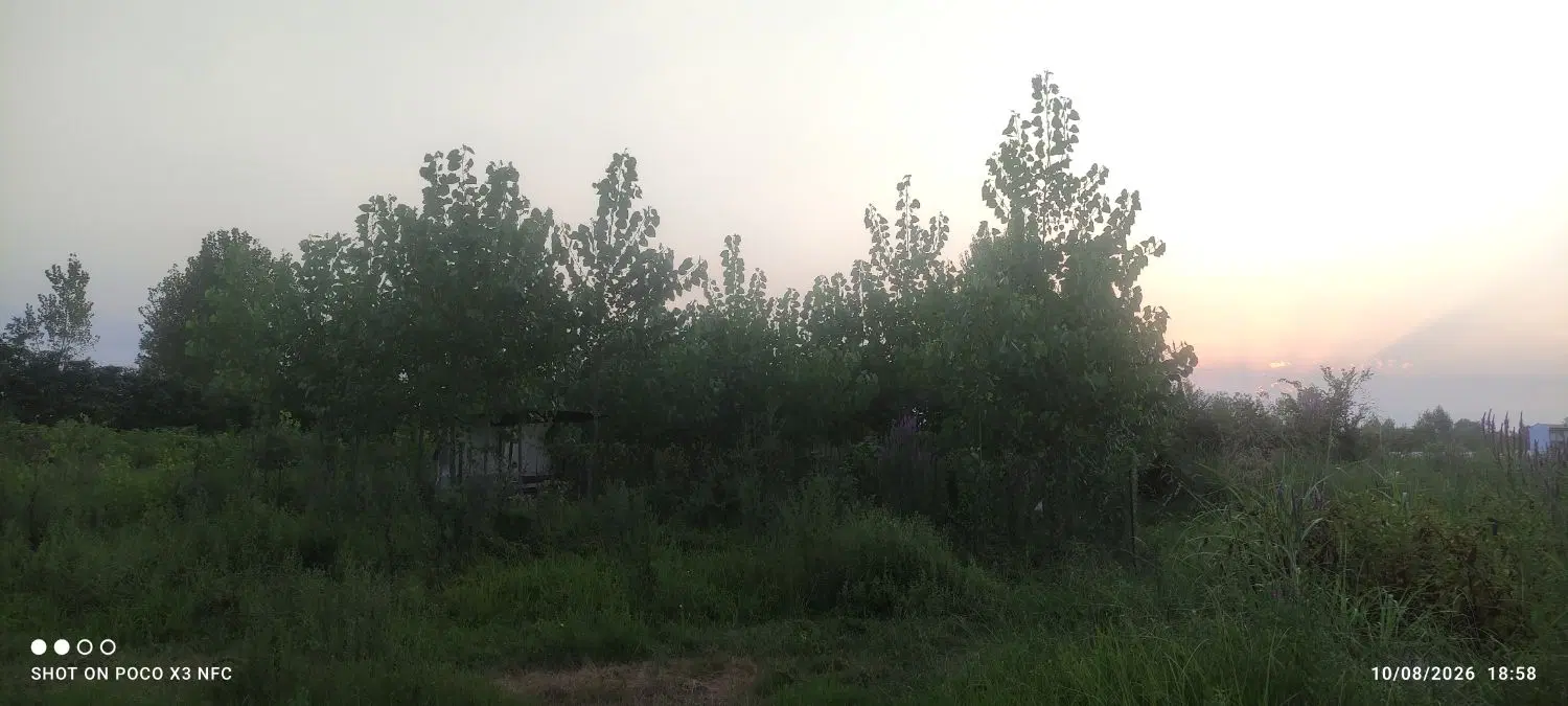 تصویر املاک 118587