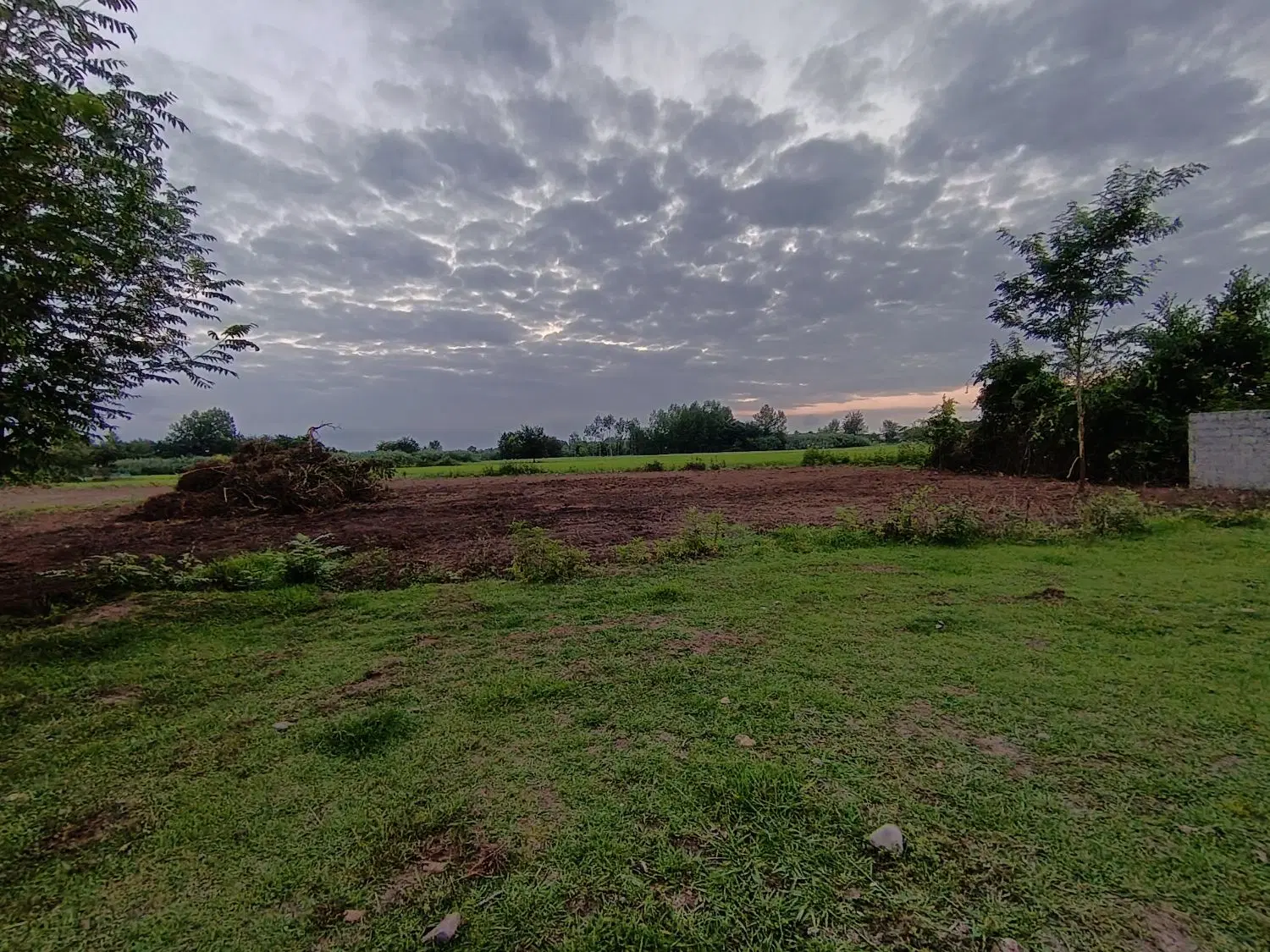 تصویر املاک 135442