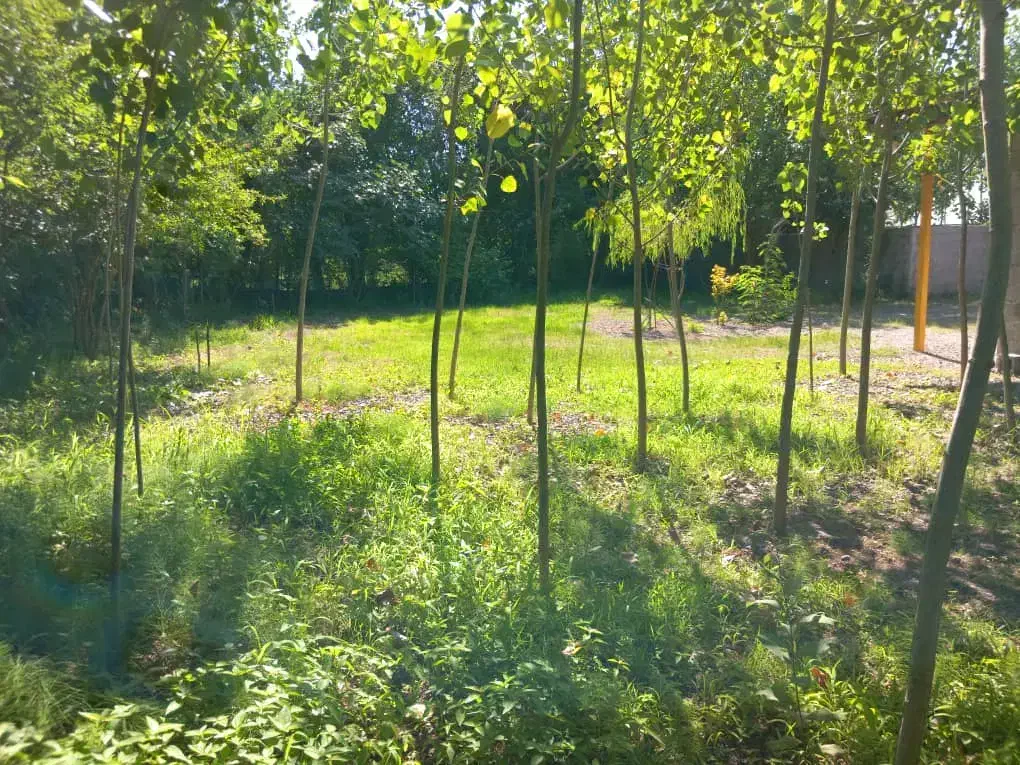 تصویر املاک 45797
