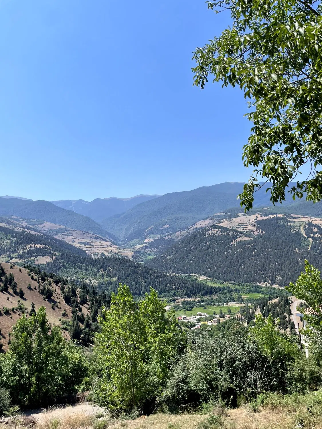 تصویر املاک 137024