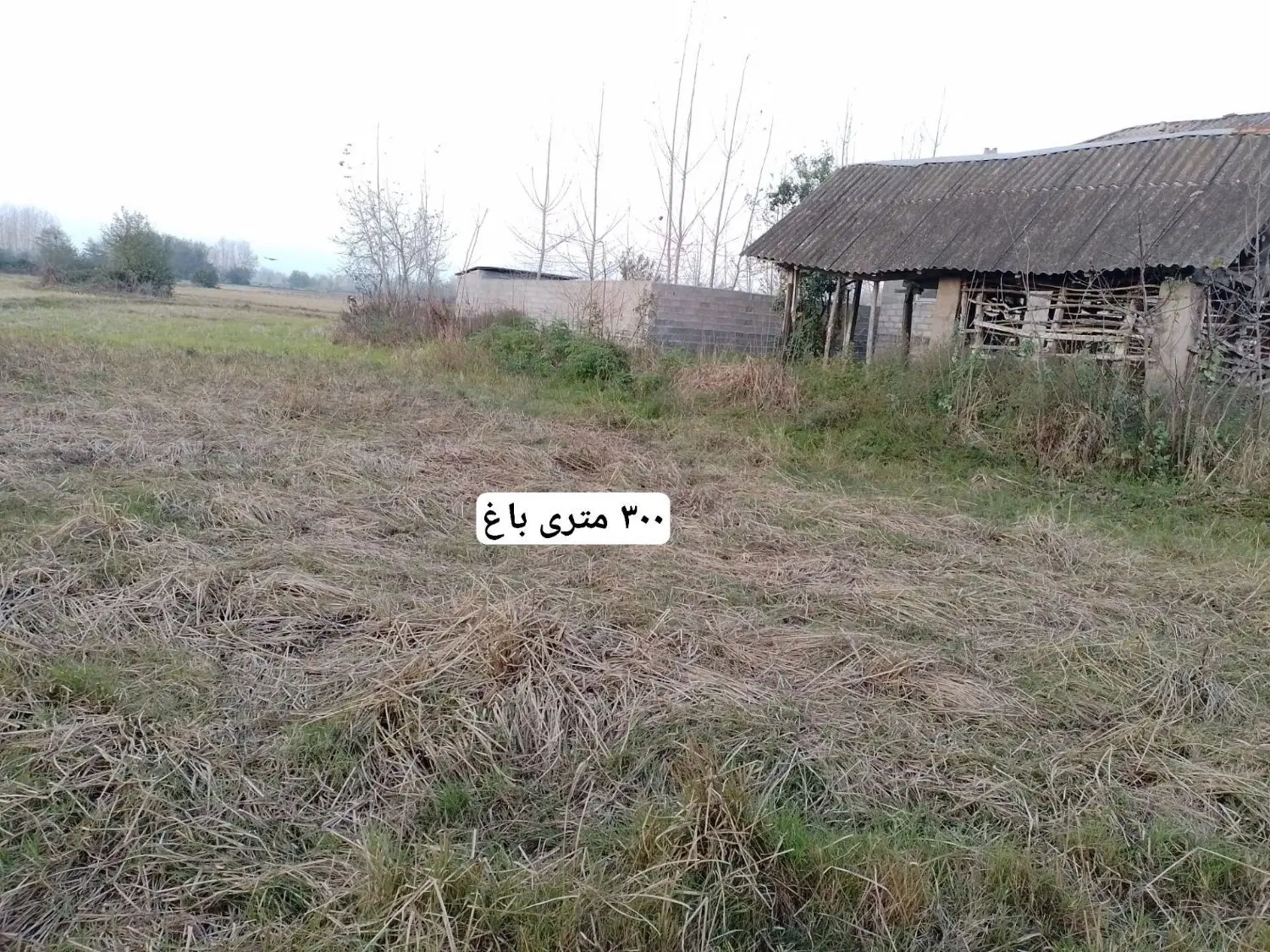 تصویر املاک 55971