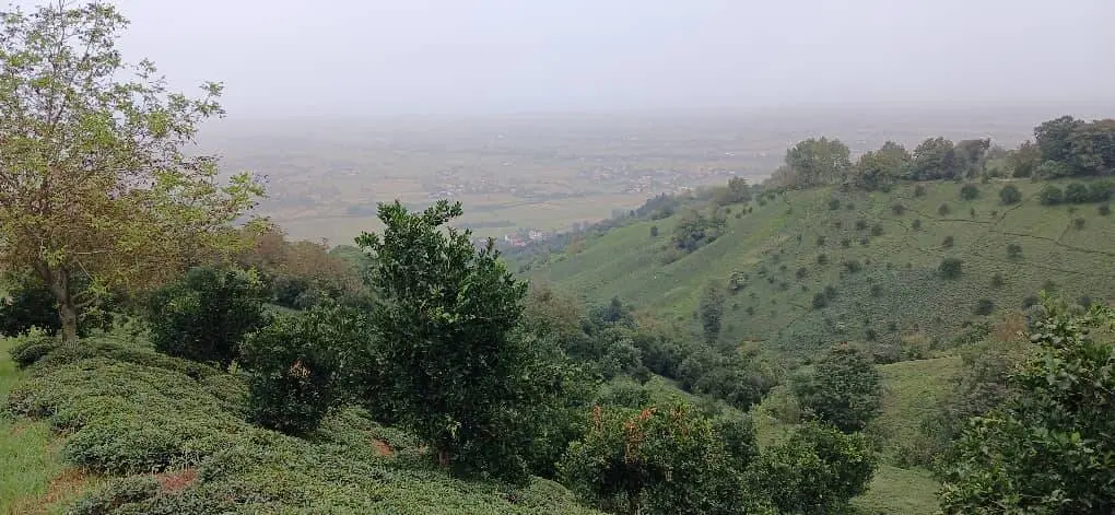 تصویر املاک 107821