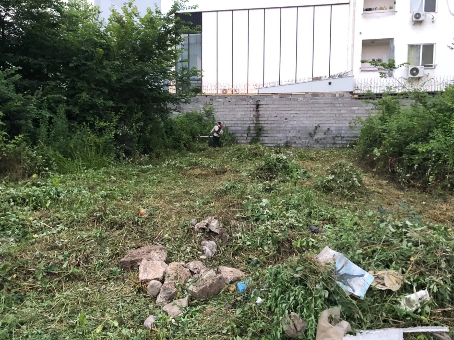 تصویر املاک 124446