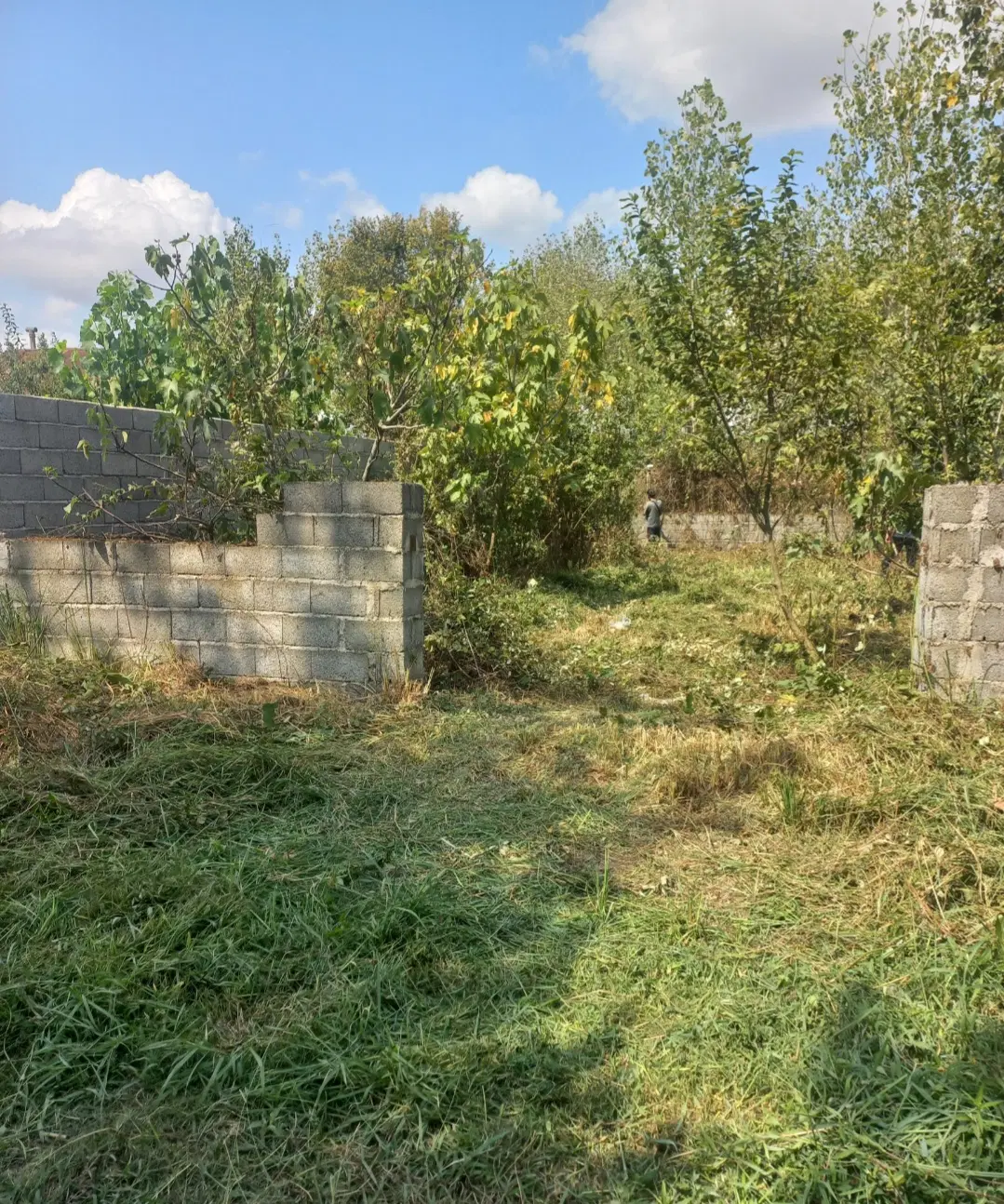 تصویر املاک 64084