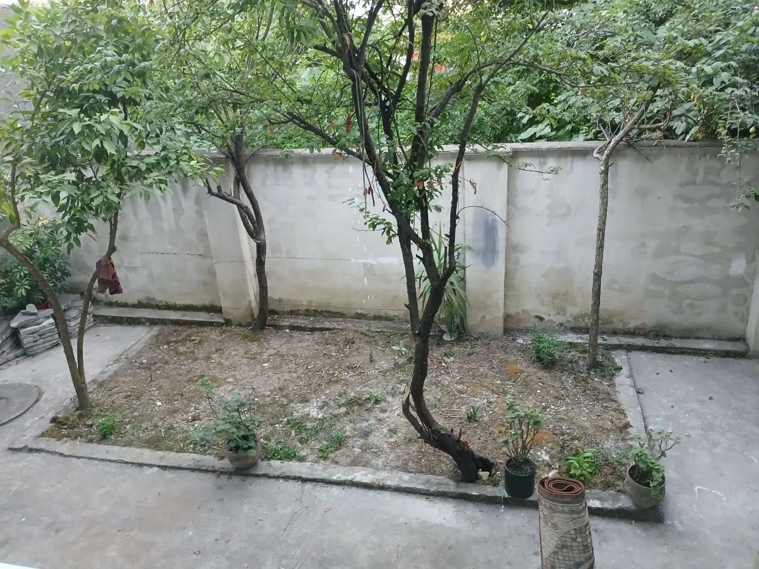 تصویر املاک 74921