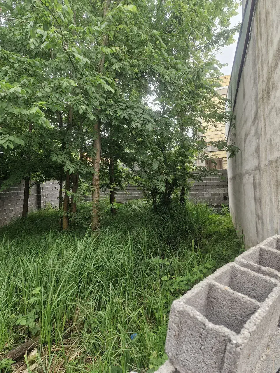 تصویر املاک 8709