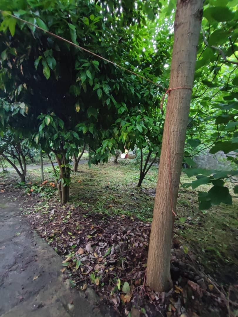 تصویر املاک 4122
