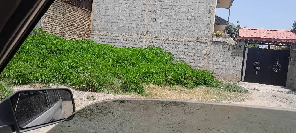 تصویر املاک 125916