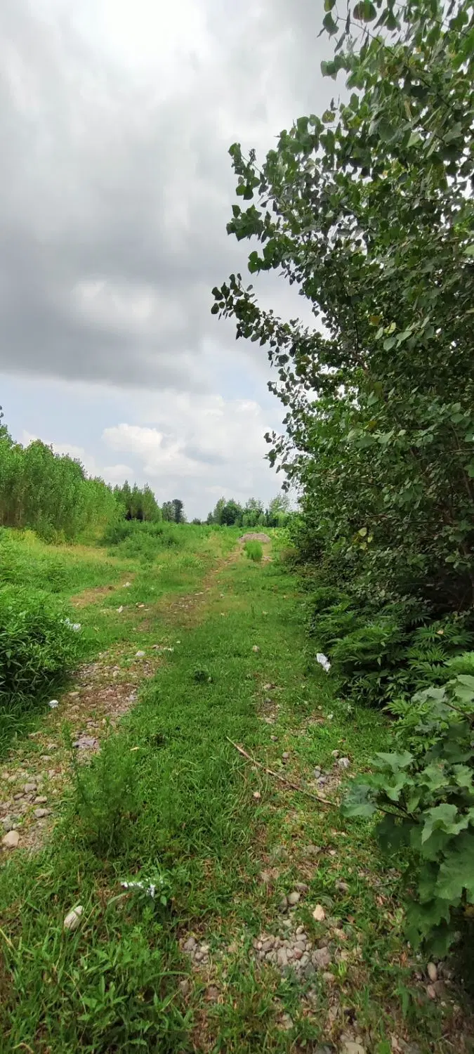 تصویر املاک 102490