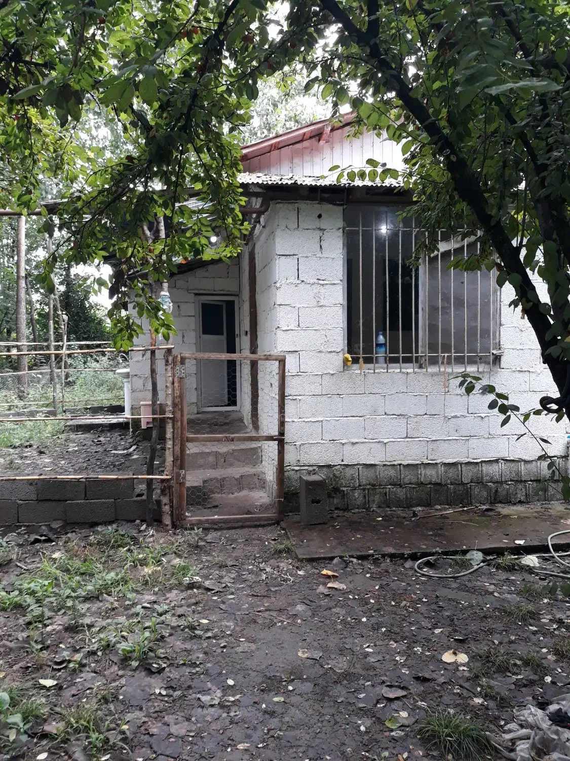 تصویر املاک 36382