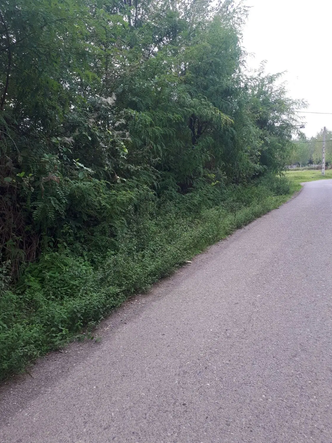 تصویر املاک 133505
