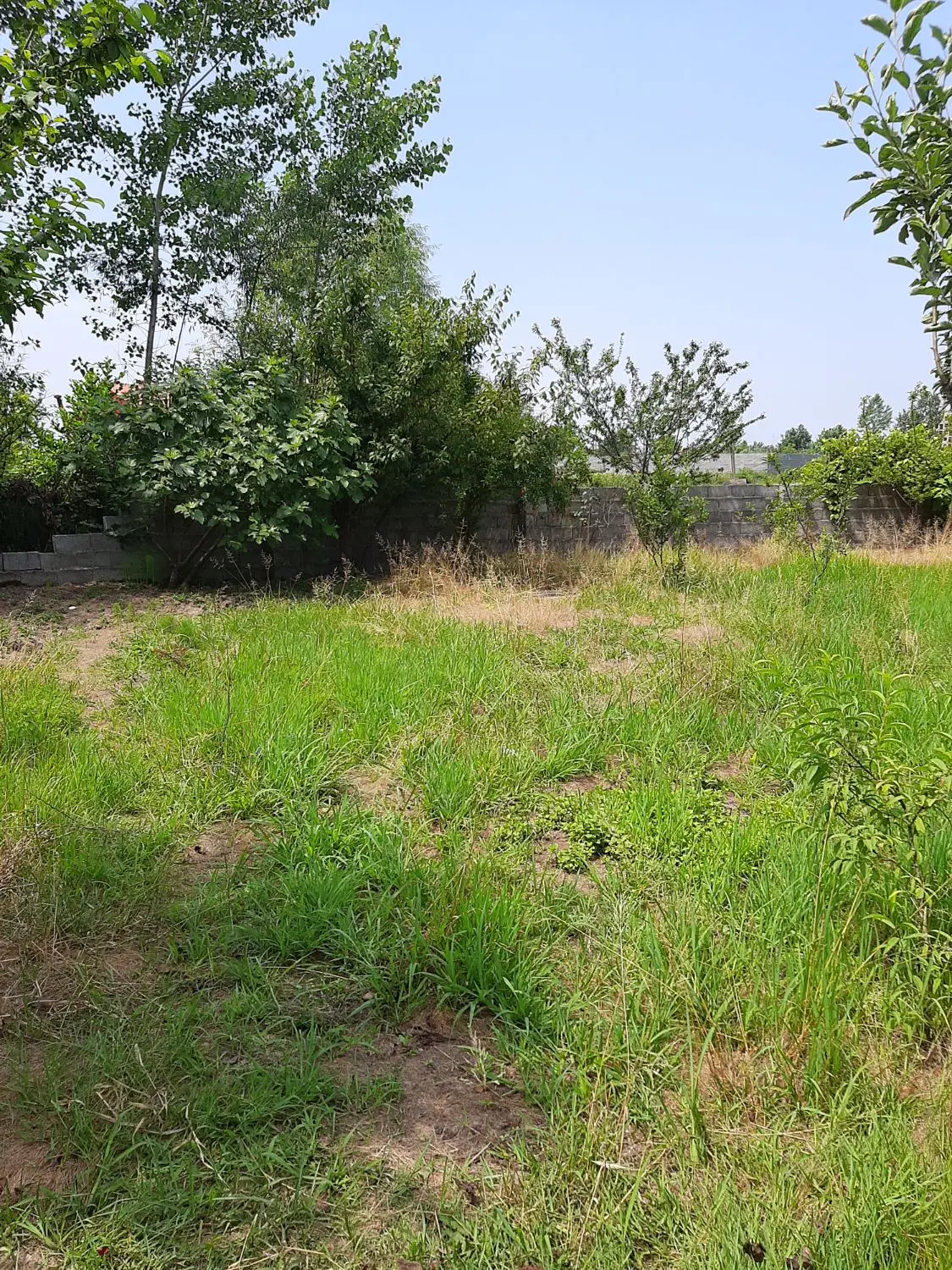 تصویر املاک 78622