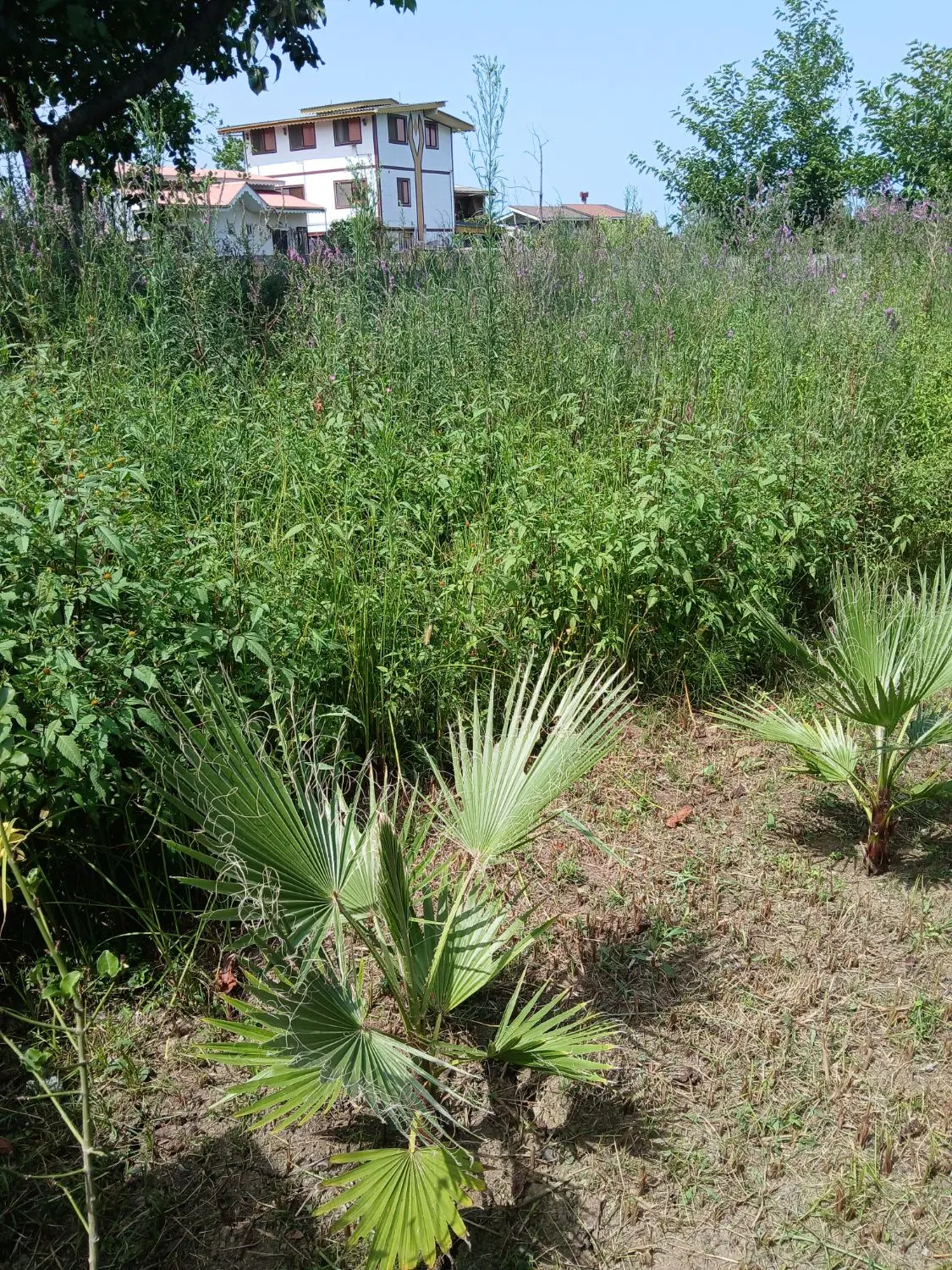 تصویر املاک 120680