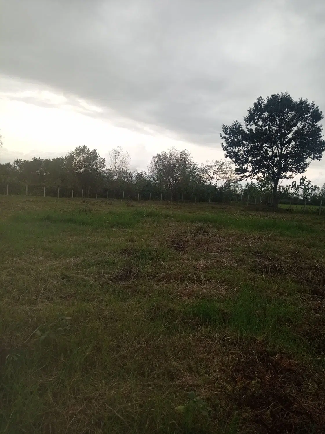 تصویر املاک 136560