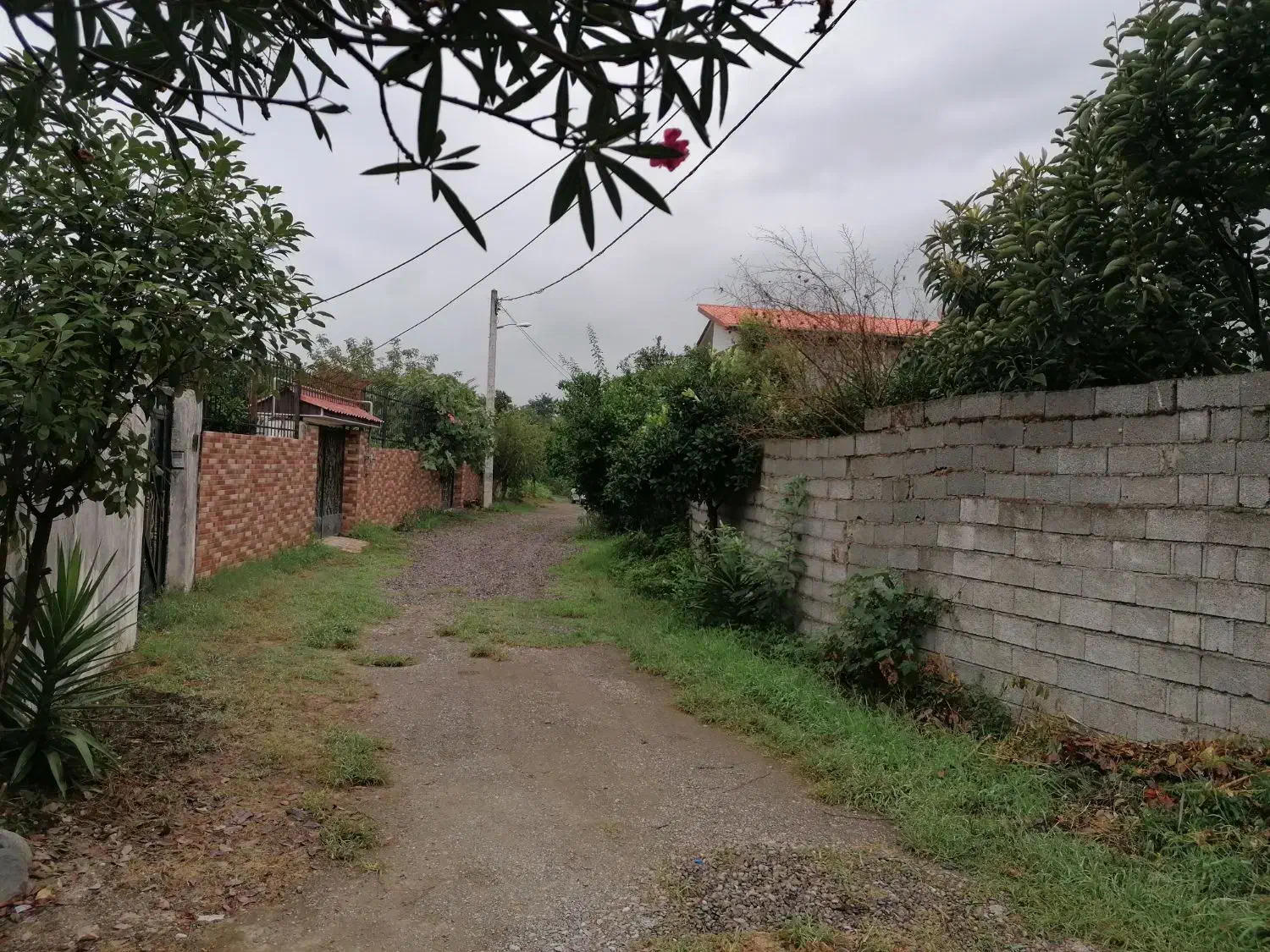 تصویر املاک 4995