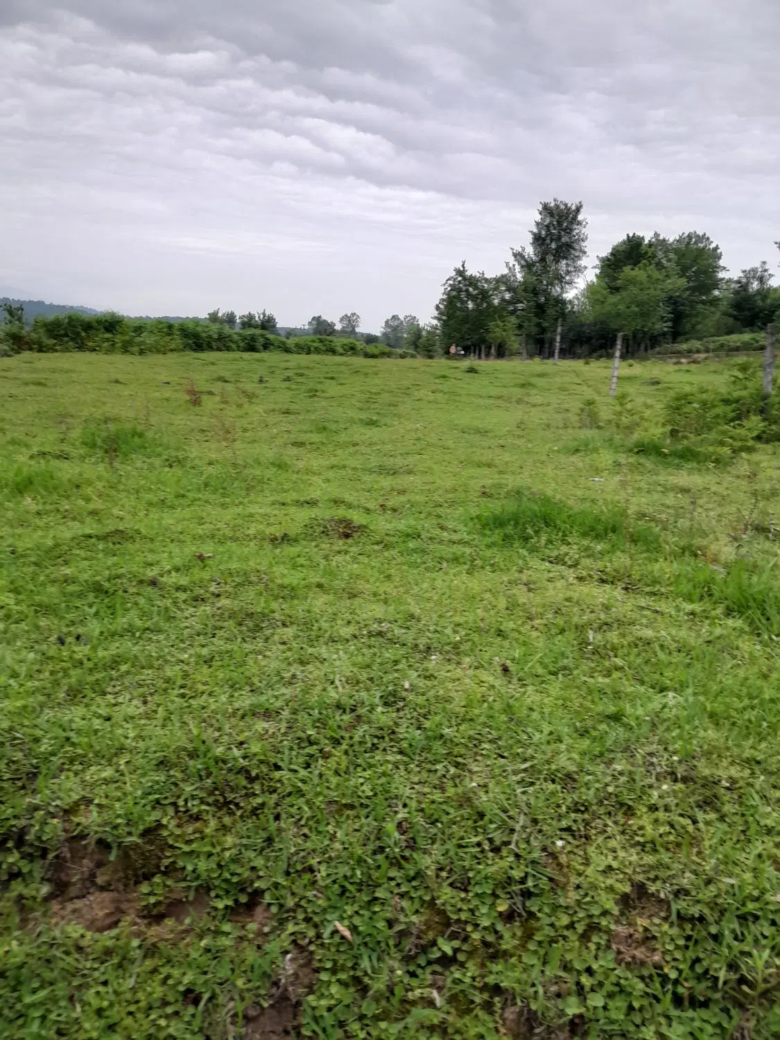 تصویر املاک 78234