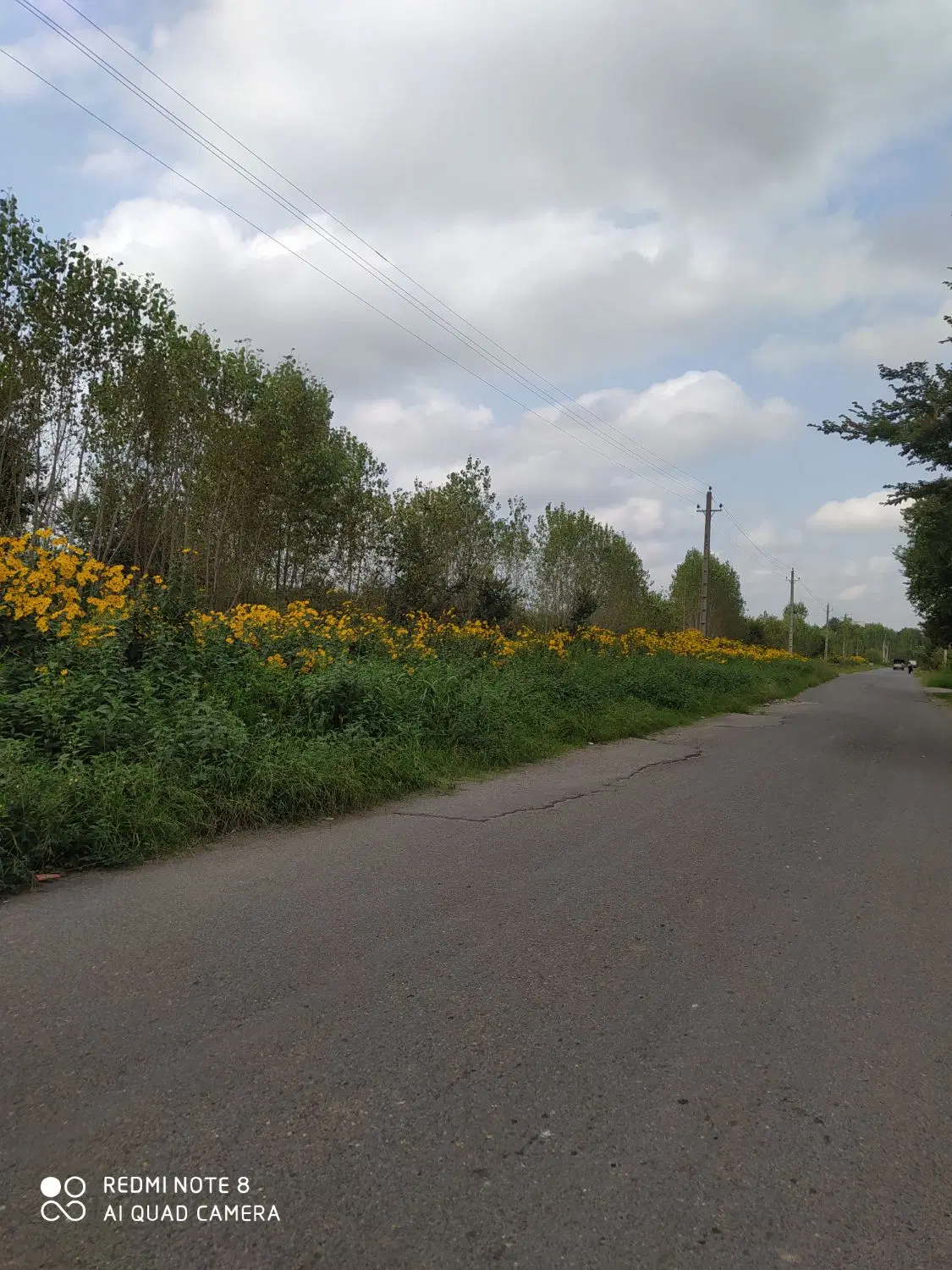 تصویر املاک 133688