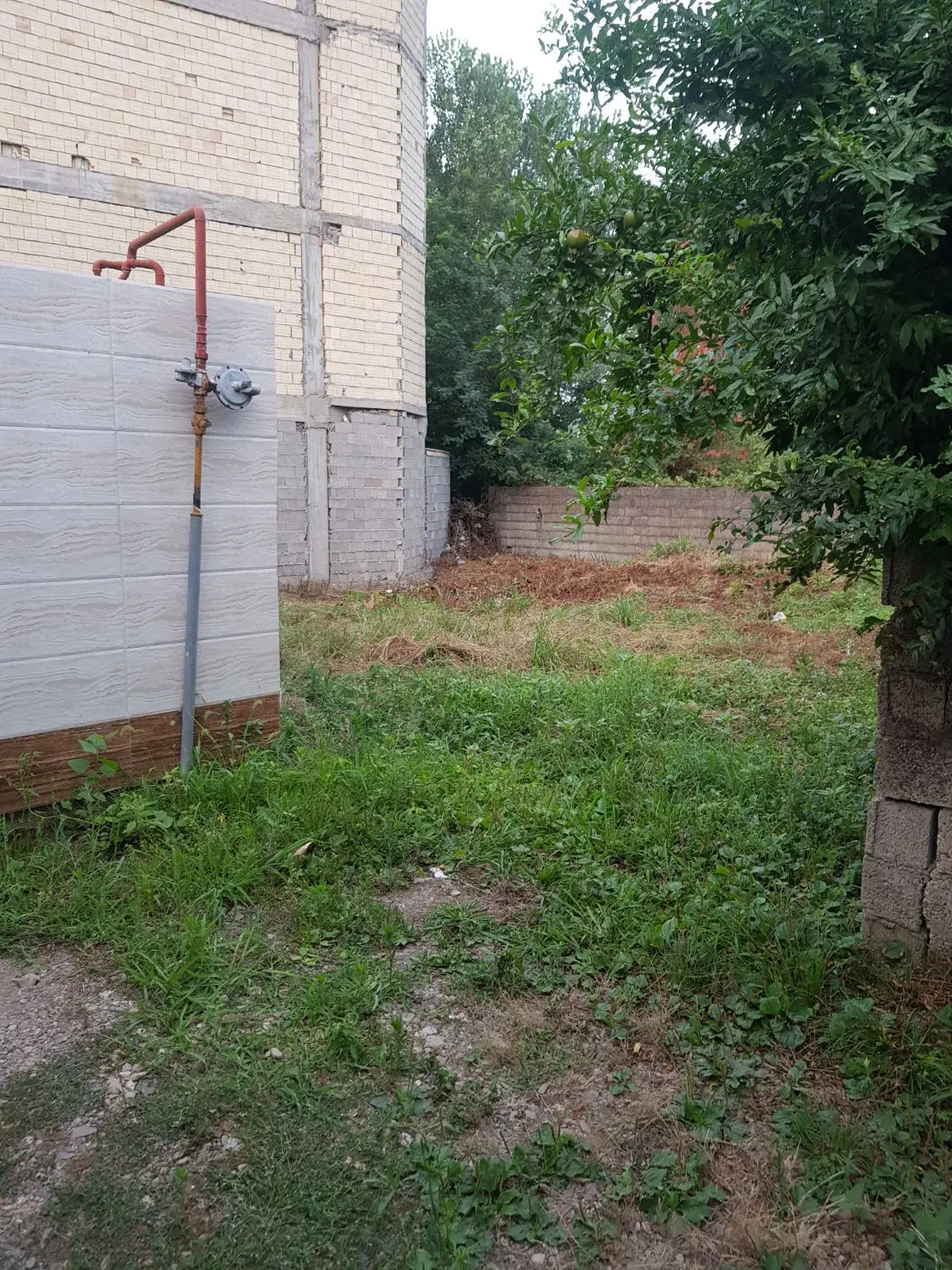 تصویر املاک 84162