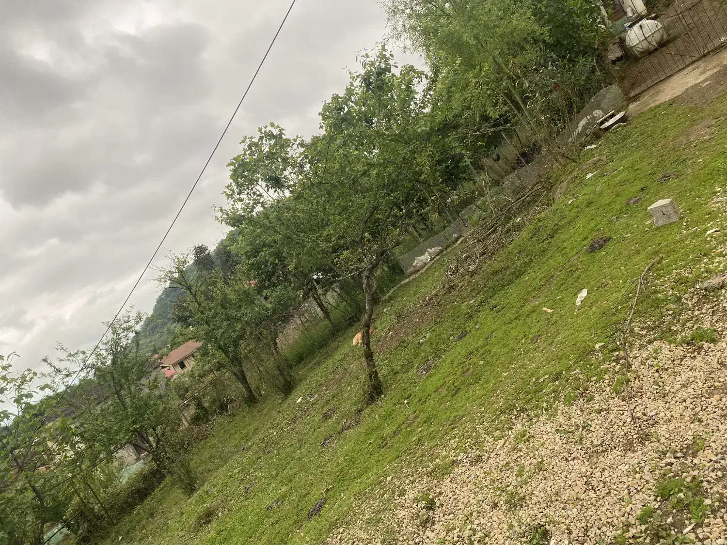 تصویر املاک 16136