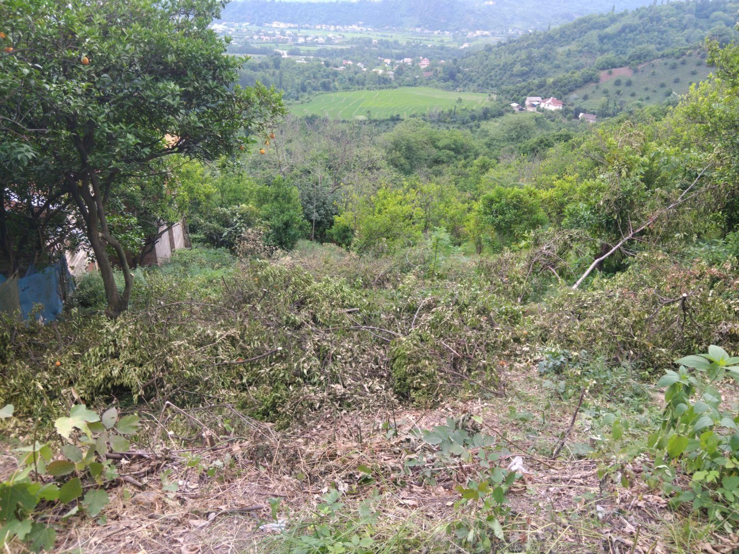 تصویر املاک 5898