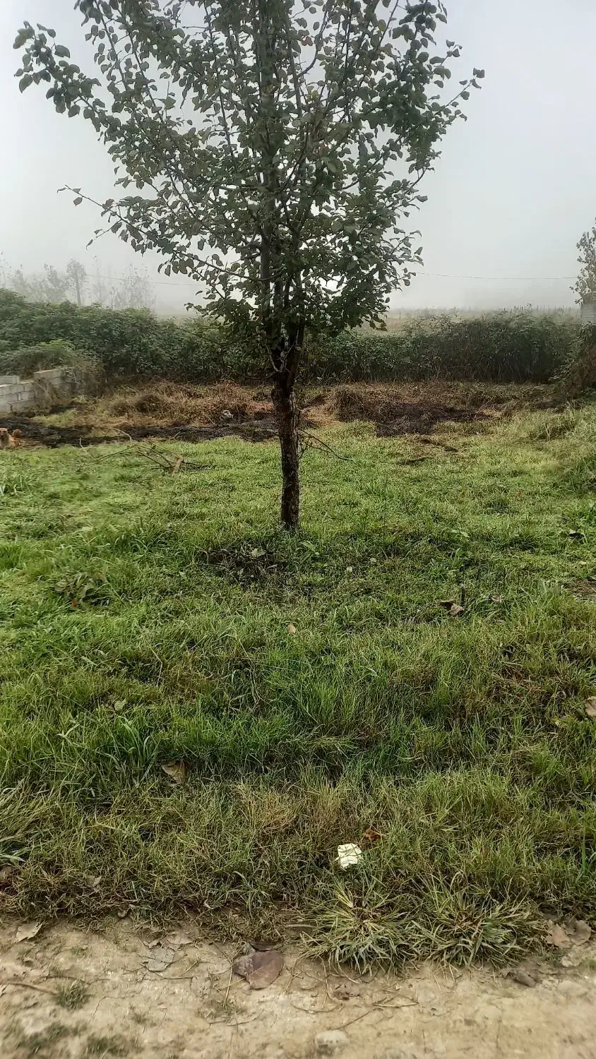 تصویر املاک 37649